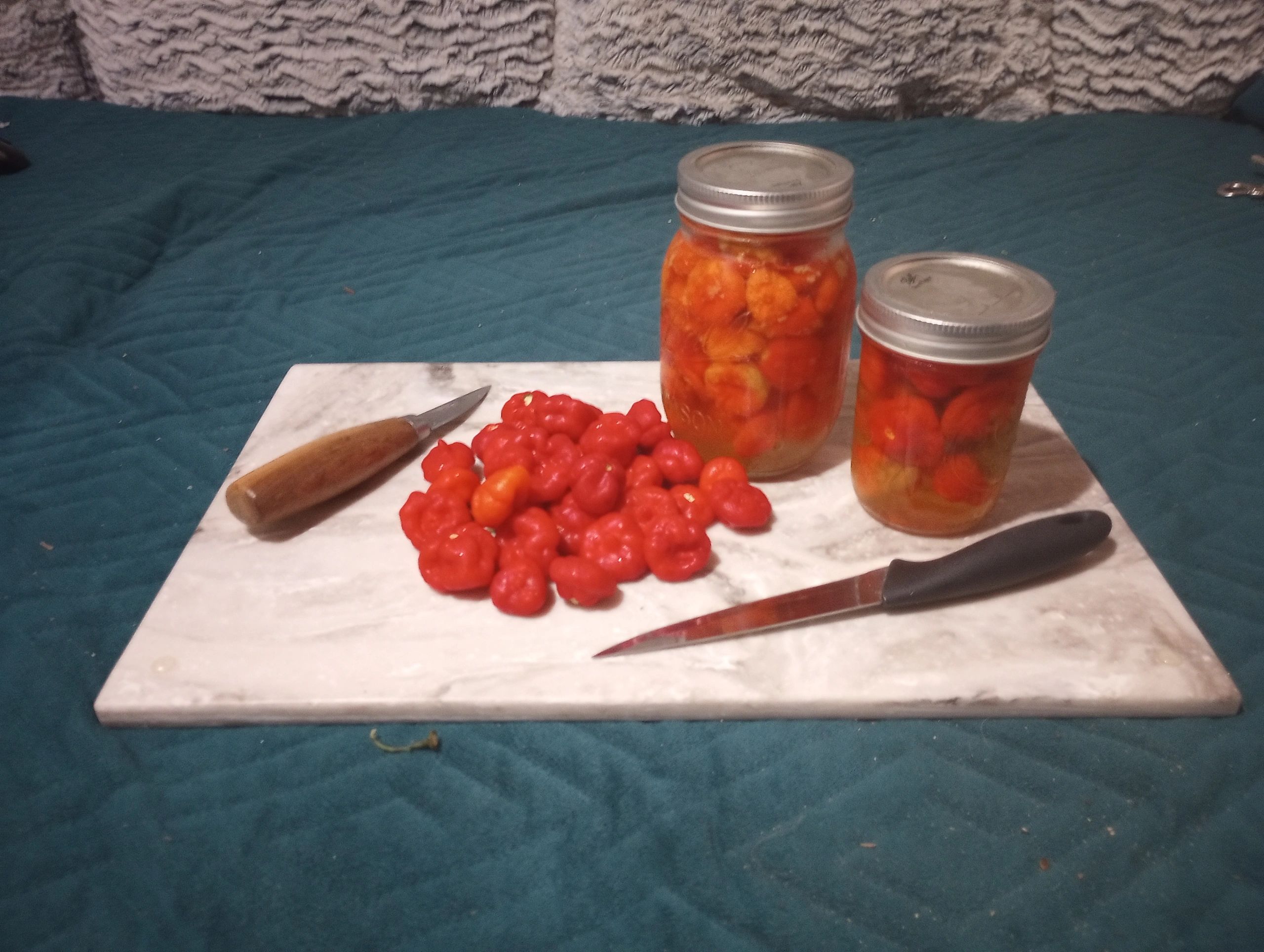 Pickled Cuban Aji Peppers (Cachucha) 16oz Jar